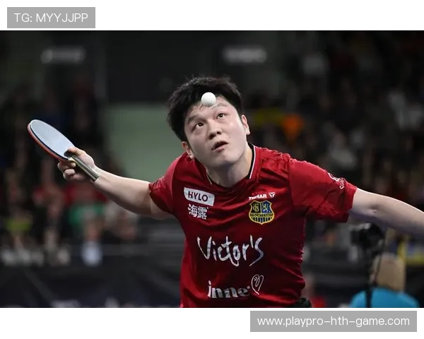 樊振东完美首秀，德国杯掀起中国风暴，樊振东德国公开赛2013