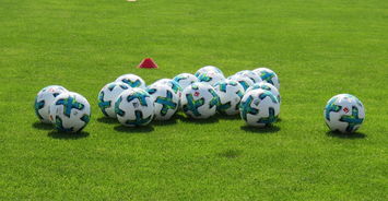 华体会体育官网登录-国际足坛人才培养论坛讨论未来发展方向,足球人才培养方案